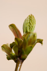 Similar image 368667