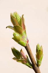 Similar image 368670