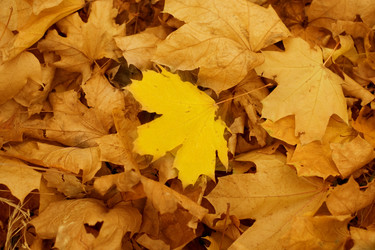 Similar image 368673