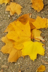 Similar image 368677