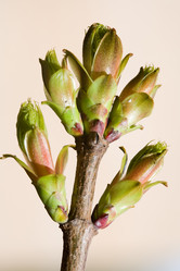 Similar image 368685