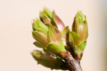 Similar image 368690