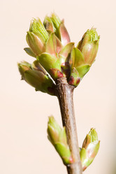 Similar image 368692