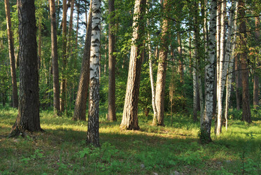 Similar image 368693