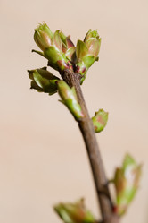 Similar image 368698