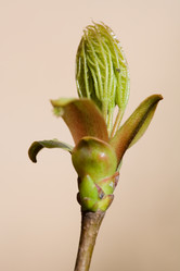 Similar image 368703