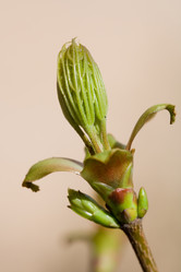 Similar image 368709