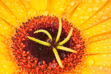 Similar image 368873