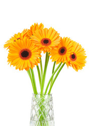 Similar image 368879