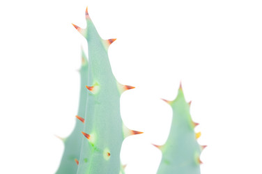 Similar image 368883