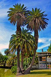 Similar image 368892