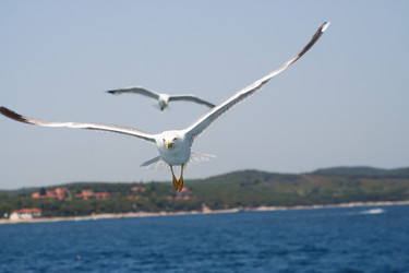 Similar image 368920