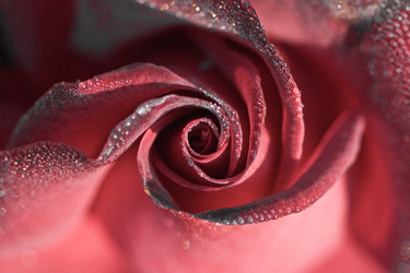 Similar image 368927