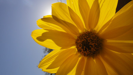 Similar image 368996