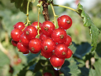 Similar image 369003