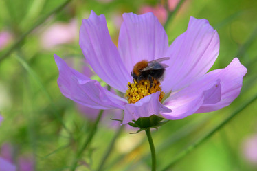 Similar image 369042