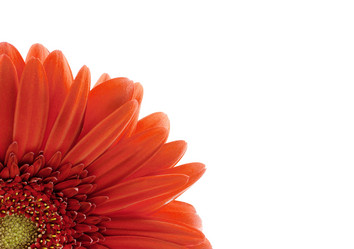 Similar image 369046