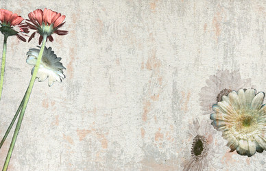 Similar image 369057