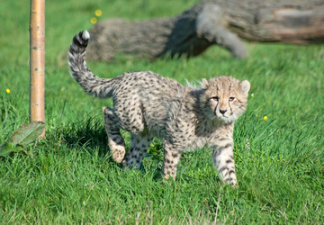 Similar image 369071