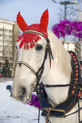 Similar image 369164