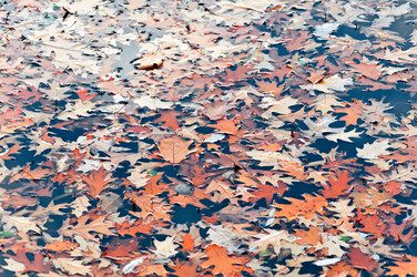 Similar image 369226