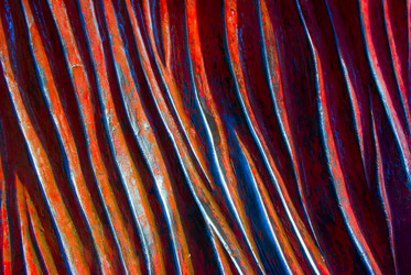 Similar image 369253