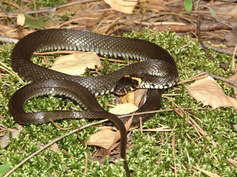 Similar image 369338