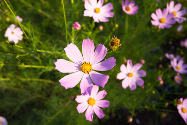 Similar image 369355