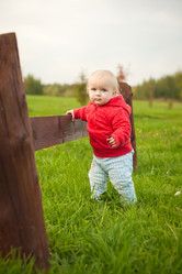 Similar image 369412