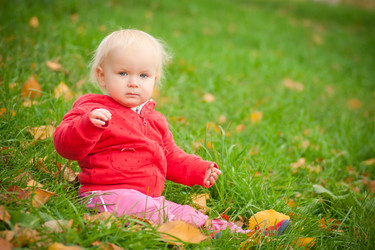 Similar image 369438