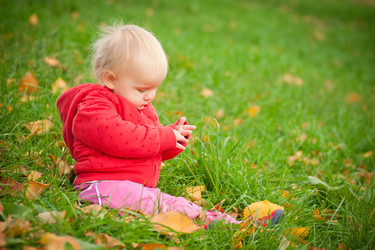 Similar image 369445