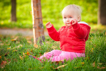 Similar image 369449