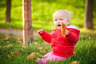 Similar image 369452