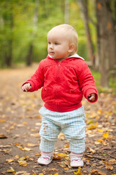 Similar image 369473