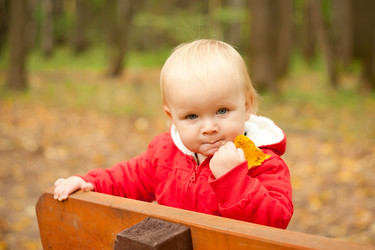 Similar image 369482