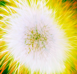 Similar image 369505