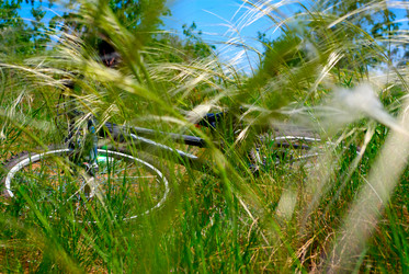 Similar image 369541