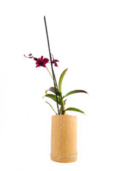 Similar image 369557