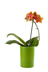 Similar image 369570