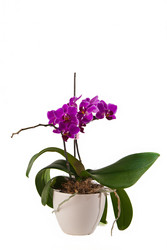 Similar image 369576