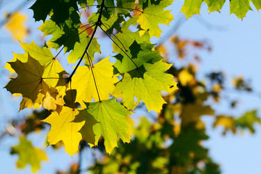 Similar image 369661