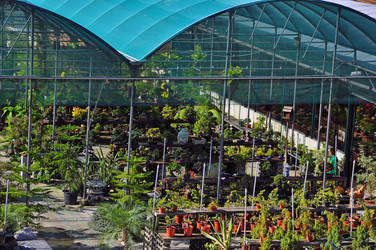 Similar image 369736