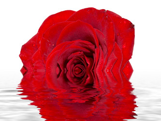 Similar image 369742