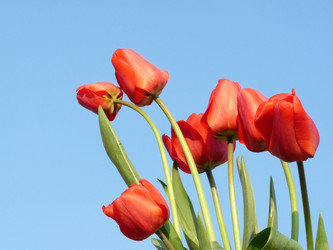 Similar image 369764