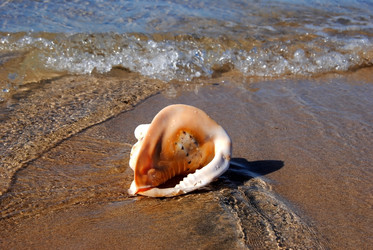 Similar image 369767