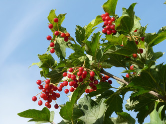 Similar image 369809