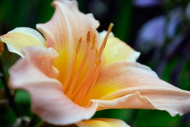 Similar image 369847