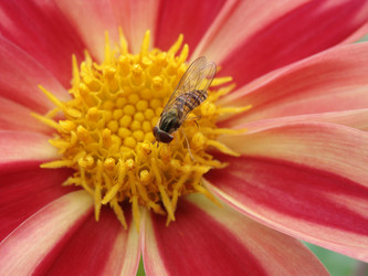 Similar image 369857