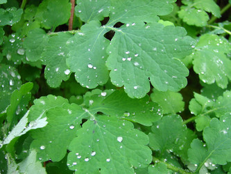 Similar image 369865