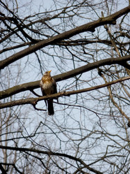 Similar image 369939